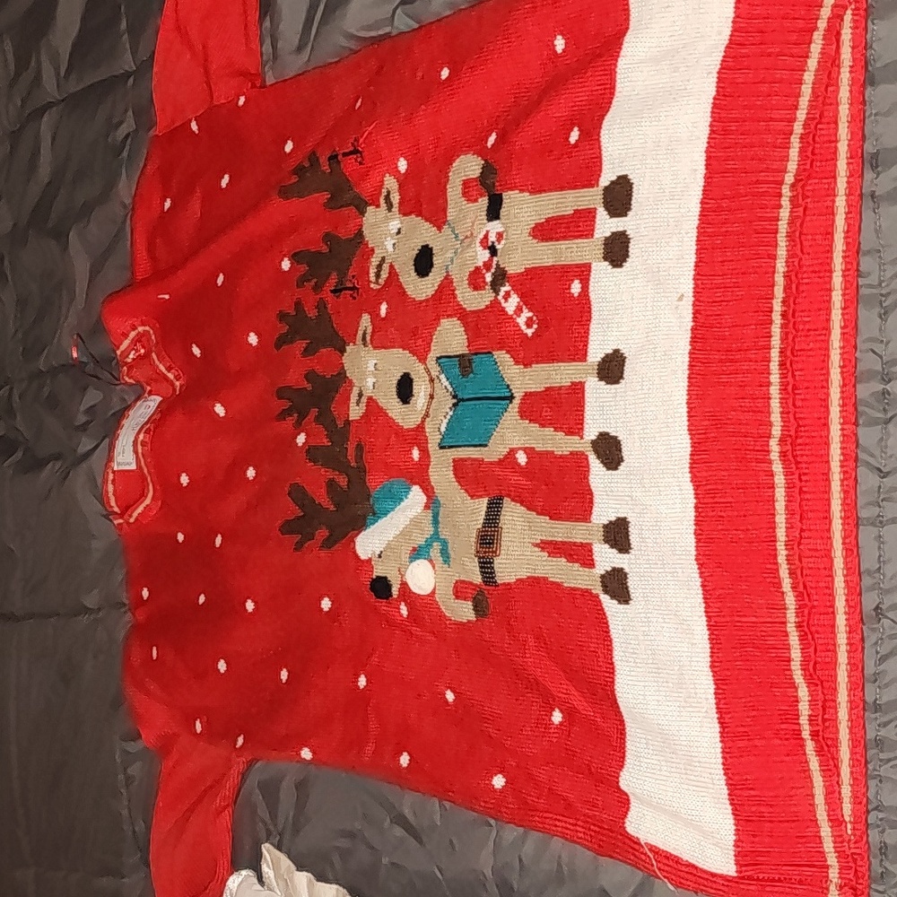 Ugly Holiday Sweater